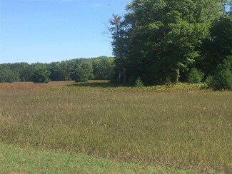 7313 Keystone Park Dr Unit 20, Alanson, MI 49706
