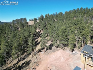 1420 Red Haven Place, Woodland Park, CO 80863