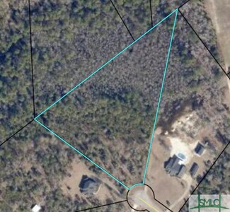 0 Black Oak Ln Unit 204405, Pembroke, GA 31321