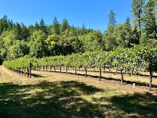 350 Mona Way, Cave Junction, OR 97523