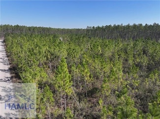 0 Bennett Mill Pond Rd, Odum, GA 31555