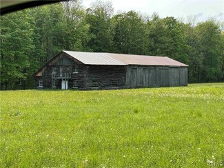 00 Hammerle Rd, Brisben, NY 13830