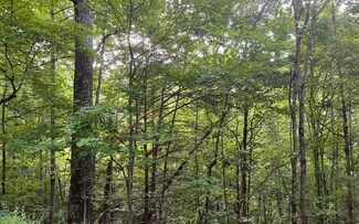 LOT 13 Preserve at Beach Mountain, Brasstown, NC 28902