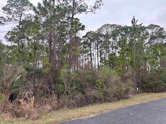 Lot 42 Wilderness Way, Panacea, FL 32346