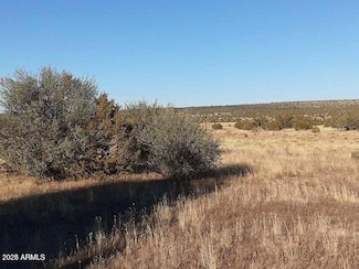 602 Denny 5 Rd, Seligman, AZ 86337