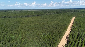 0 Penny Morris Rd, Baxley, GA 31513