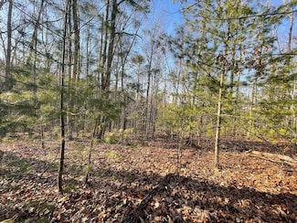 20ac Cooper Hollow Rd, Tellico Plains, TN 37385