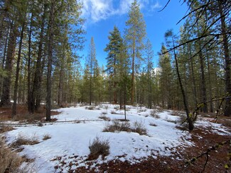 0 Schoonover 1 - Map 2508-01000- Unit 220113643, Crescent, OR 97733