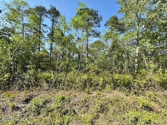 308 Plantation Rd, Wilmington, NC 28411