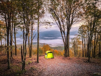 TBD Laurel Creek Trail, Marlinton, WV 24954
