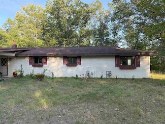 7283 Paula Dr, Indian River, MI 49749