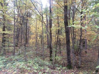 ON Haskell Heights Dr Unit Lot 22, Lac Du Flambeau, WI 54538