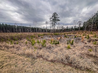 1016 Hidden Lake Ct, Lincolnton, GA 30817