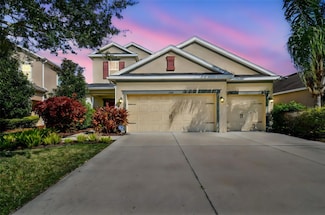 33181 Shadow Branch Ln, Wesley Chapel, FL 33545