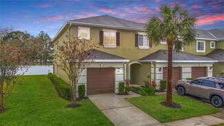 20462 Needletree Dr, Tampa, FL 33647