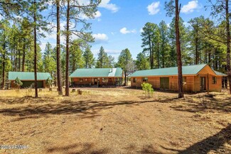 61 County Road 2266 Dr, Alpine, AZ 85920