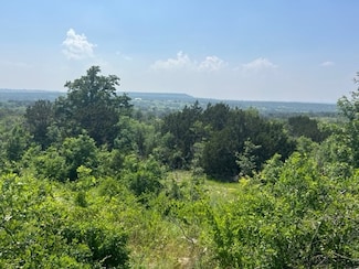 677 Pecan Valley Rd, Gustine, TX 76455