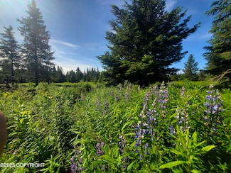 17502 Chefornak St, Happy Valley, AK 99639