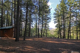9 N Air Strip Rd, Twisp, WA 98856