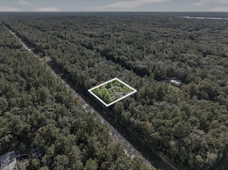 0 Usina Unit 256189, Interlachen, FL 32148