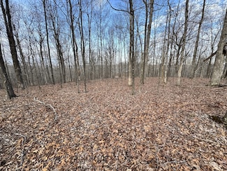 0 Red Dog Rd, Big Sandy, TN 38221