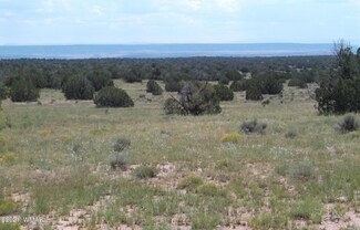 Lot 572 County Road N6567, St. Johns, AZ 85936