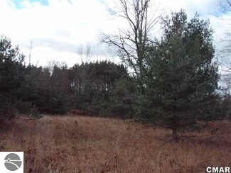 0000 10 Rd, Manton, MI 49663