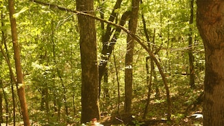 Lot 4 Booth Creek Rd, Williford, AR 72482