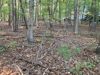 0 Nelson Way Unit 622583, Basye, VA 22810