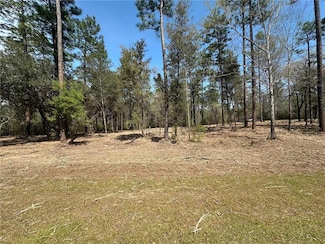 0 Steelwood Ridge Rd Unit 7472505, Loxley, AL 36551
