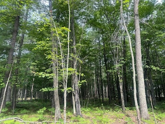 Lot 5 Pine Breeze Way, Eagle River, WI 54521