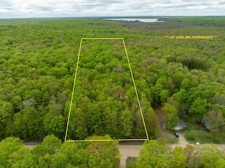 VL Covert Rd NE, Coldsprings Township, MI 49659