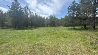 TBD Parcel 17-Bandmill Heights, Orofino, ID 83554