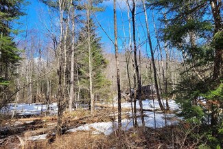 783 & 747 Alder Brook Rd, Vermontville, NY 12989
