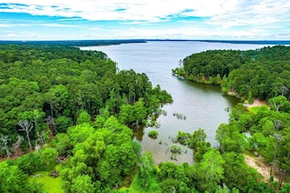 3 A375 tract 2 Moore Farm Rd, Zavalla, TX 75980