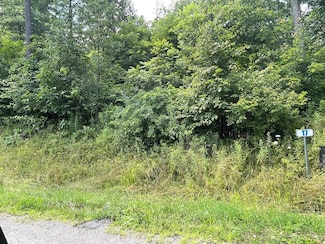 Lot 18 Hemlock Hills Rd, Towanda, PA 18848