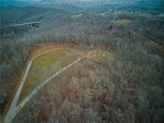 0 Bee Tree Ln, Alum Creek, WV 25003