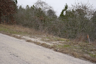 858 Mamalu Dr, Bastrop, TX 78602
