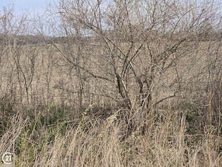 0 Weber (Lot B) Rd Unit 50172631, Richmond Township, MI 48063
