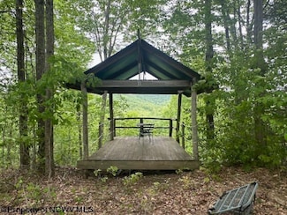 TBD Snake Rd, Manheim, WV 26425