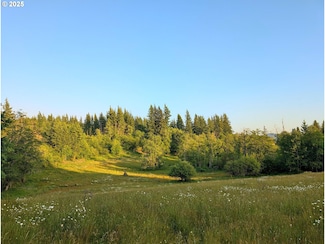 1641 Mabee Mines Rd Unit 2, Washougal, WA 98671
