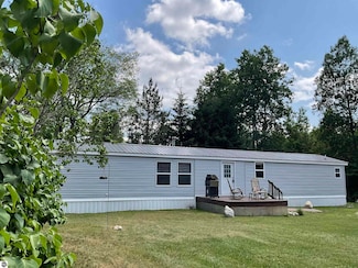 10694 Freeman Rd, Mesick, MI 49668