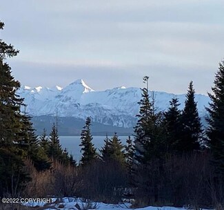 Tr 6 Frontier Ln, Fritz Creek, AK 99603