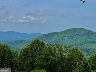 M164 Walnut Ridge, Ellijay, GA 30336