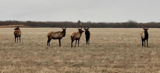 0 Ew 1480 Unit 1155074, Roosevelt, OK 73564