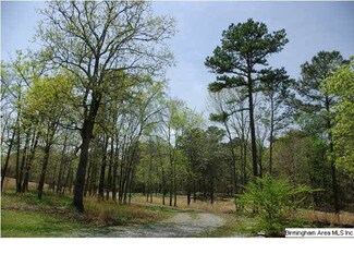 375 Tolbert Dr, Steele, AL 35987