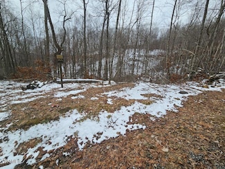 Lot 7 Wildflower Dr, Tazewell, VA 24651