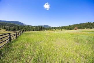 565 Stags Leap Rd, Darby, MT 59829
