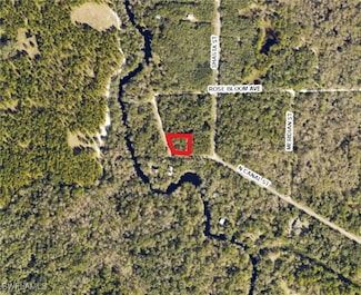 7478 N Canal St, Webster, FL 33597