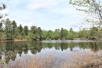 464 Webbs Pond Rd, Williston, SC 29853